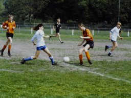 0DIA 1988 RAVA B1